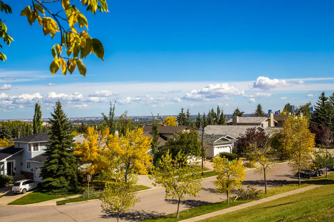 Everyday life in Strathcona Park